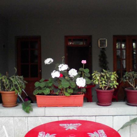 Kapana Hotel Mtsʼkhetʼa Exterior foto